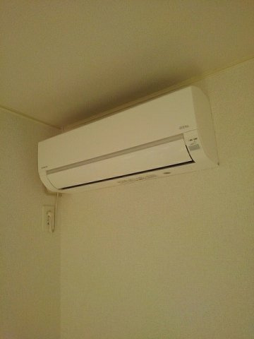 カザミラのその他