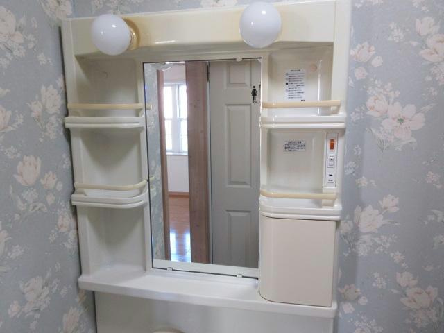 Pure Lady（ピュアレディ）の洗面所