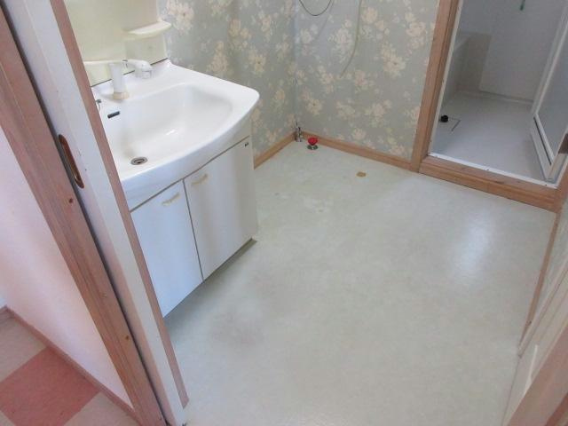 Pure Lady（ピュアレディ）の洗面所