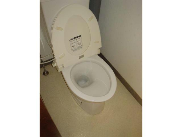 コーポグローバルのトイレ