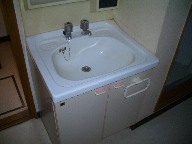 飛田ハイツの洗面所