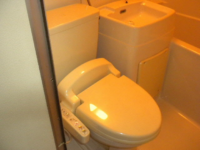 ニューコーポ231のトイレ