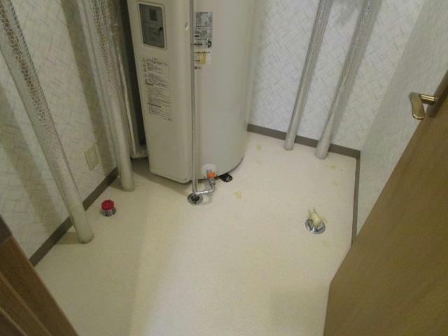 あかつきニュータウンA棟の洗面所