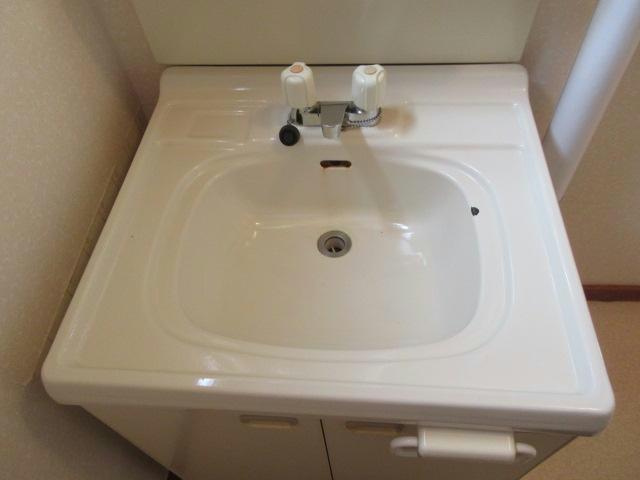 コーポしみずの洗面所