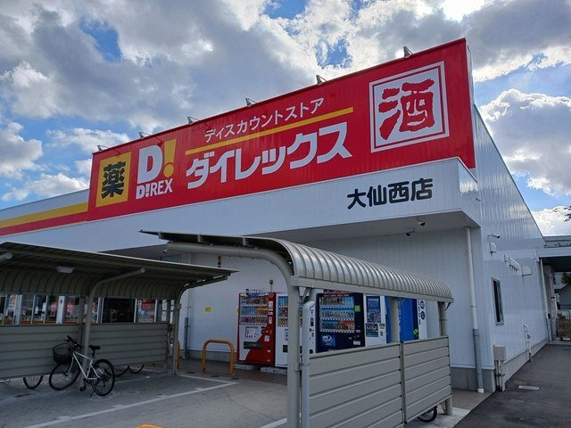 ヒカルサ堺市文珠橋通Ⅱの周辺|ダイレックス大仙西町店まで700m
