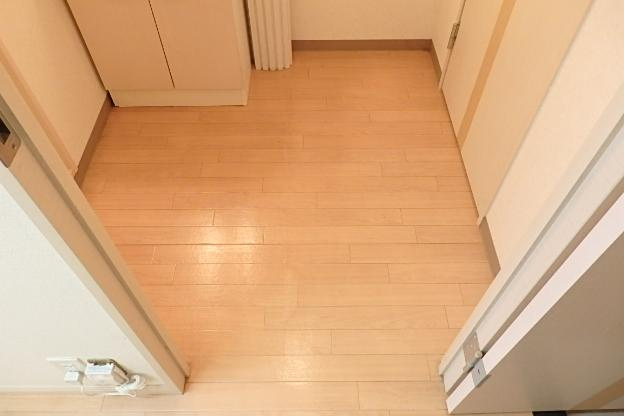 グレイシャスのその他|脱衣所