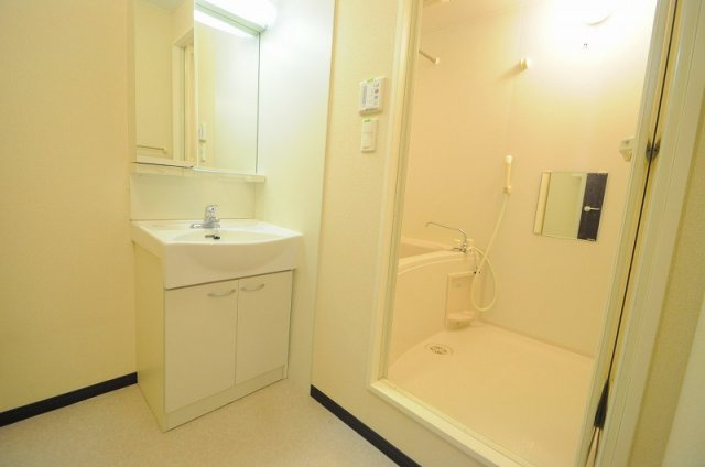 レオネクスト丹比多治井荘の浴室