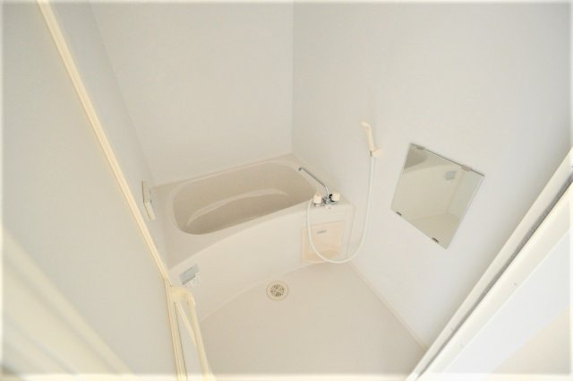 レオネクストカルミアオクイの浴室