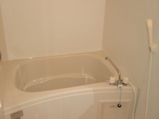 レオネクストあおぞら東の浴室