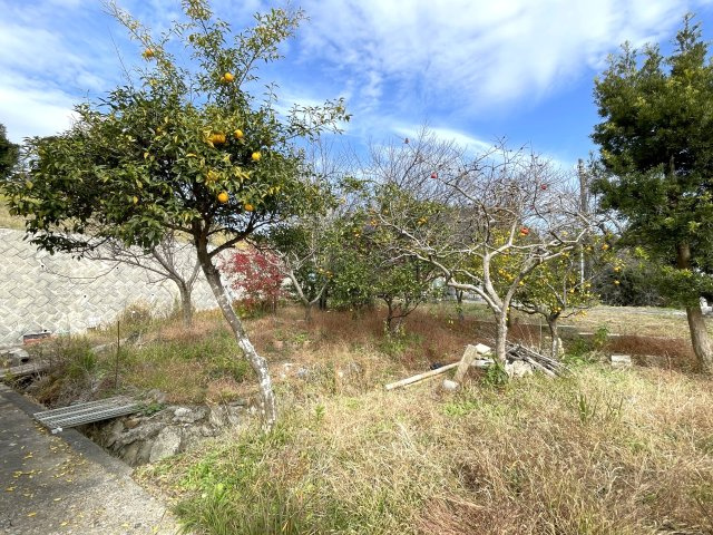 広々敷地の永田戸建の庭