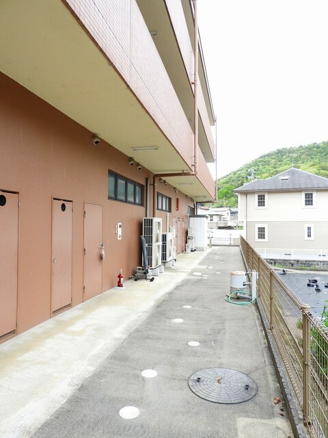 ニューコスモスのその他