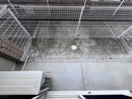 チェリーあいのバルコニー