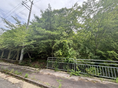 【外観】 | 丹波篠山市今田町下立杭　山林1