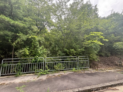 【外観】 | 丹波篠山市今田町下立杭　山林1