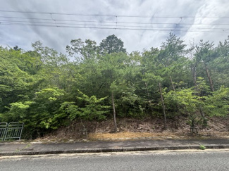 【外観】 | 丹波篠山市今田町下立杭　山林1