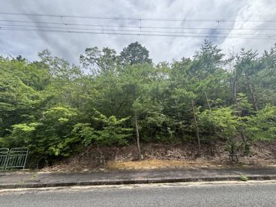 【外観】 | 丹波篠山市今田町下立杭　山林1