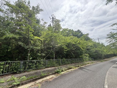 【外観】 | 丹波篠山市今田町下立杭　山林1
