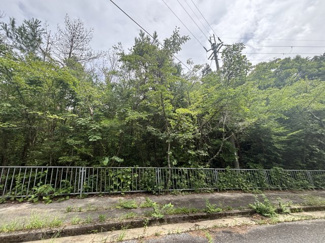 【外観】 | 丹波篠山市今田町下立杭　山林1