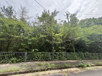 【外観】 | 丹波篠山市今田町下立杭　山林1