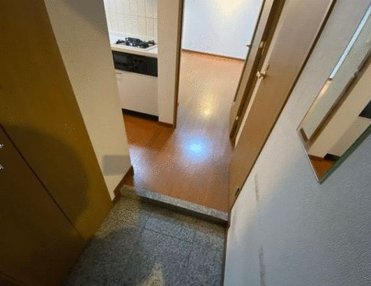 パレステュディオ日本橋東の玄関