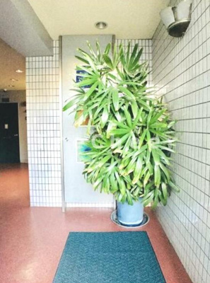 【エントランス】 | 浅川マンション