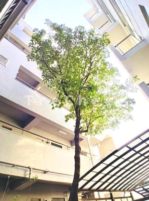 【その他共用部分】 | 浅川マンション