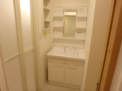 熊本市中央区新大江１丁目のアパートの洗面所