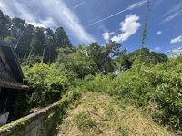 丹波篠山市今田町下立杭　山林3の画像
