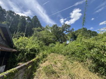 丹波篠山市今田町下立杭　山林3の画像