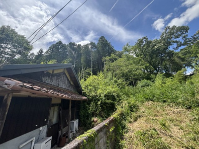 【外観】 | 丹波篠山市今田町下立杭　山林3