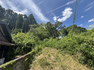 【外観】 | 丹波篠山市今田町下立杭　山林3