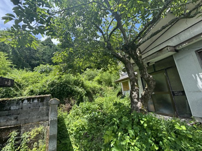 【外観】 | 丹波篠山市今田町下立杭　山林3