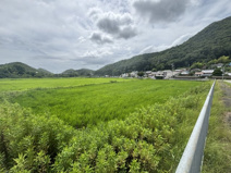 丹波篠山市今田町下立杭　農地1の画像
