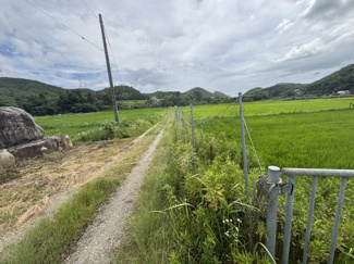 【外観】 | 丹波篠山市今田町下立杭　農地1