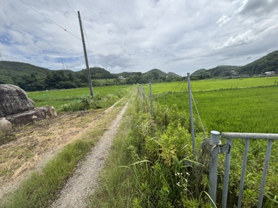 【外観】 | 丹波篠山市今田町下立杭　農地1