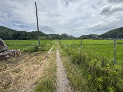 【外観】 | 丹波篠山市今田町下立杭　農地1