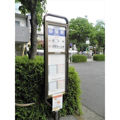 【周辺】 | スカイコート国立(スカイコートクニタチ)