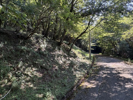 【外観】 | 東急天城高原別荘地　売地