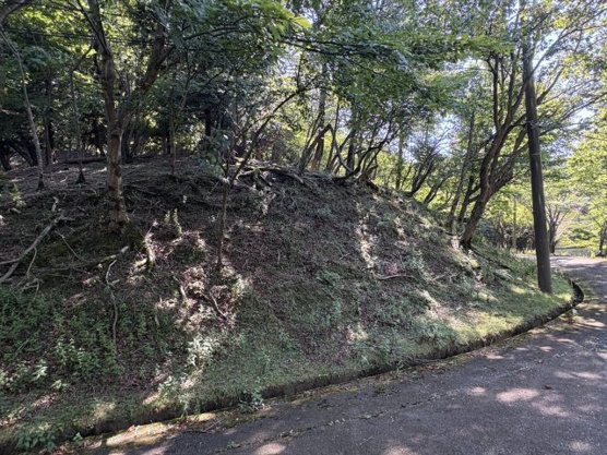 【外観】 | 東急天城高原別荘地　売地