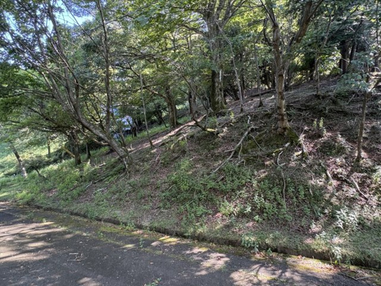 【外観】 | 東急天城高原別荘地　売地
