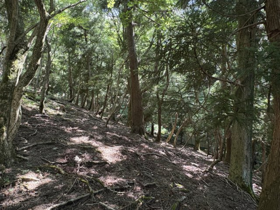 【外観】 | 東急天城高原別荘地　売地