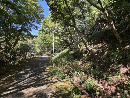 【外観】 | 東急天城高原別荘地　売地