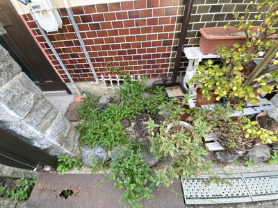 【庭】 | 円明町戸建