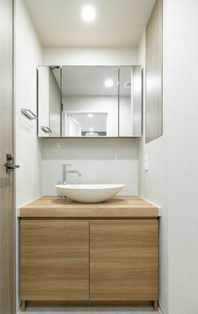 テラス月島の洗面所