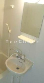 DRホームズ上石神井2の洗面所