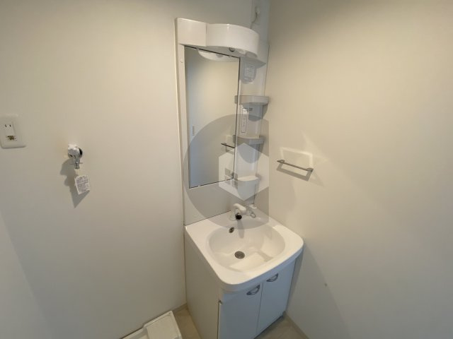 F mirai Doliyの独立洗面台