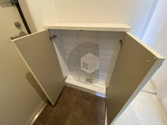 F mirai Doliyの収納