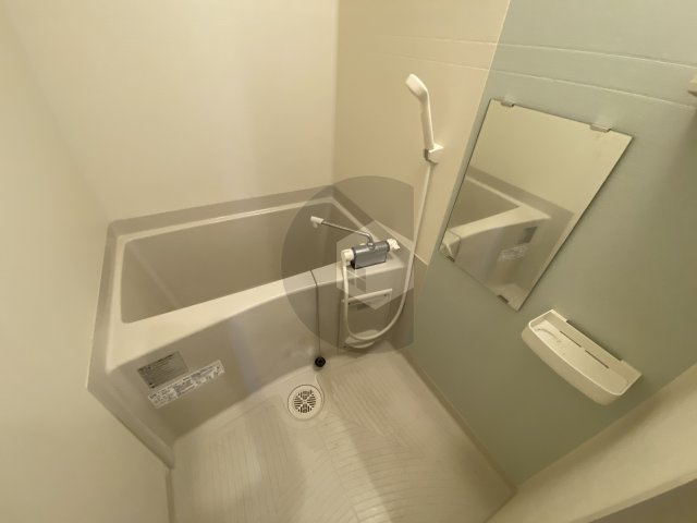 F mirai Doliyの浴室