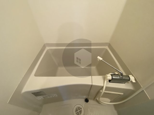 F mirai Doliyの浴室