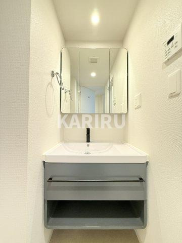 セレニテ本町東リアン の洗面所